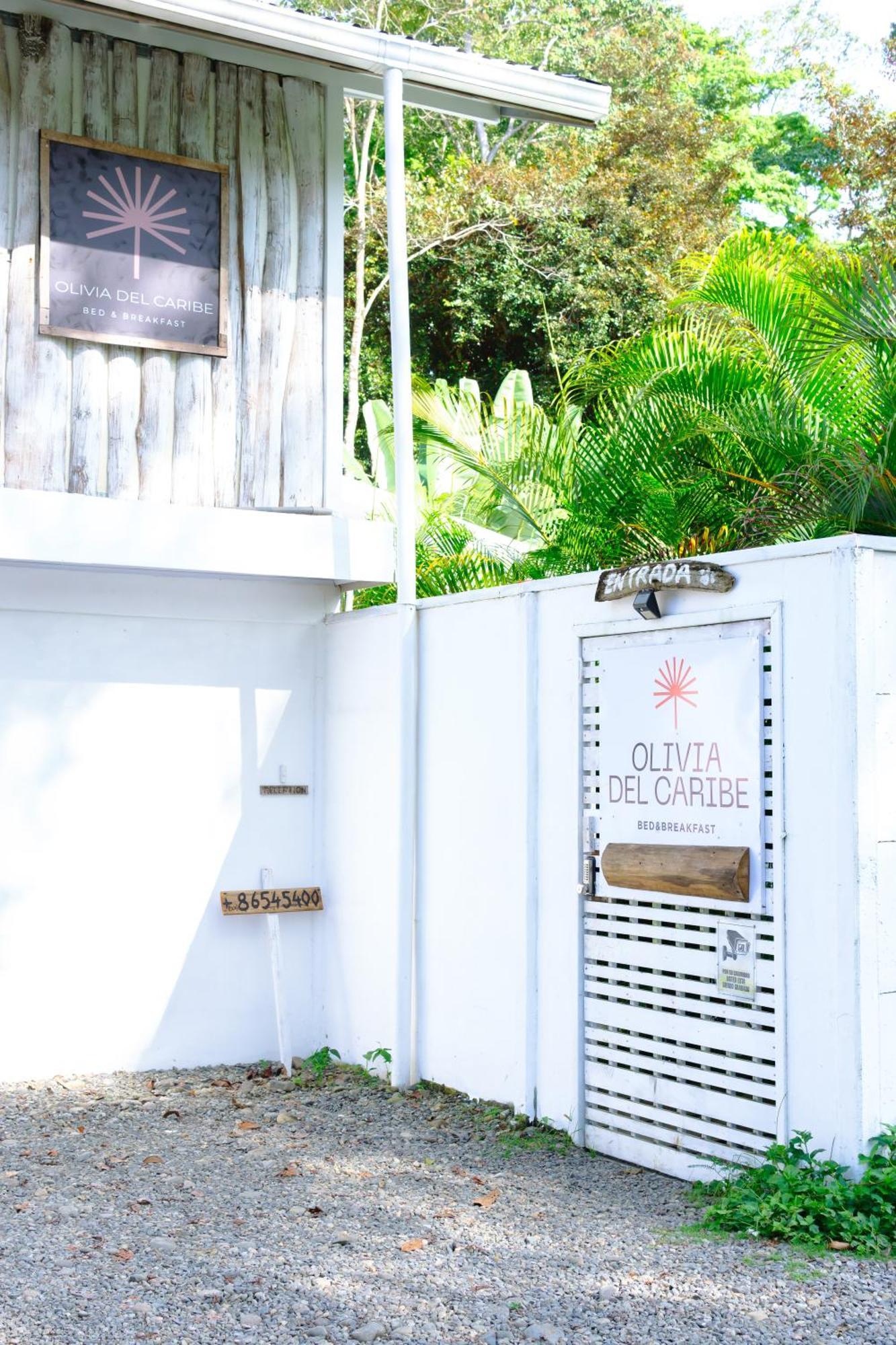 Olivia Del Caribe Suite Puerto Viejo de Talamanca Exterior foto